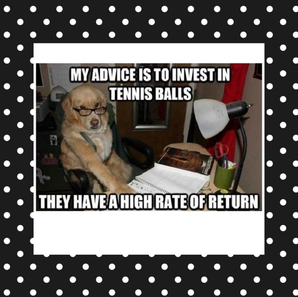 Other - 🐕💖 Doggie Jokes